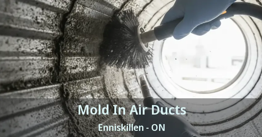 Mold In Air Ducts Enniskillen - ON