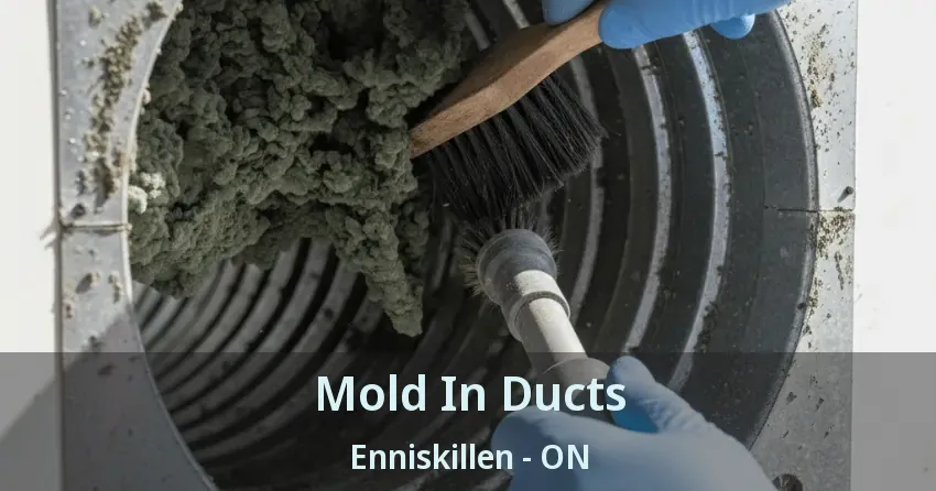 Mold In Ducts Enniskillen - ON