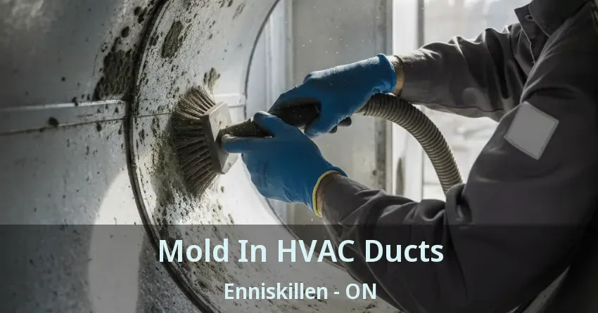 Mold In HVAC Ducts Enniskillen - ON